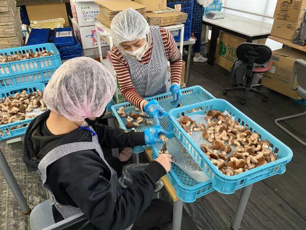 ワークステーション大垣_作業