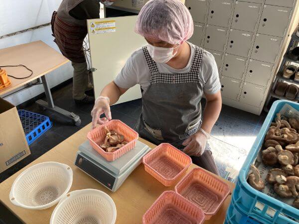 ワークステーション大垣_作業