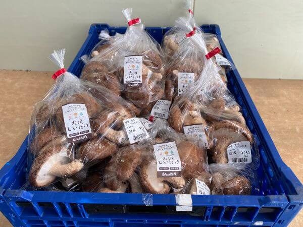 ワークステーション大垣_作業